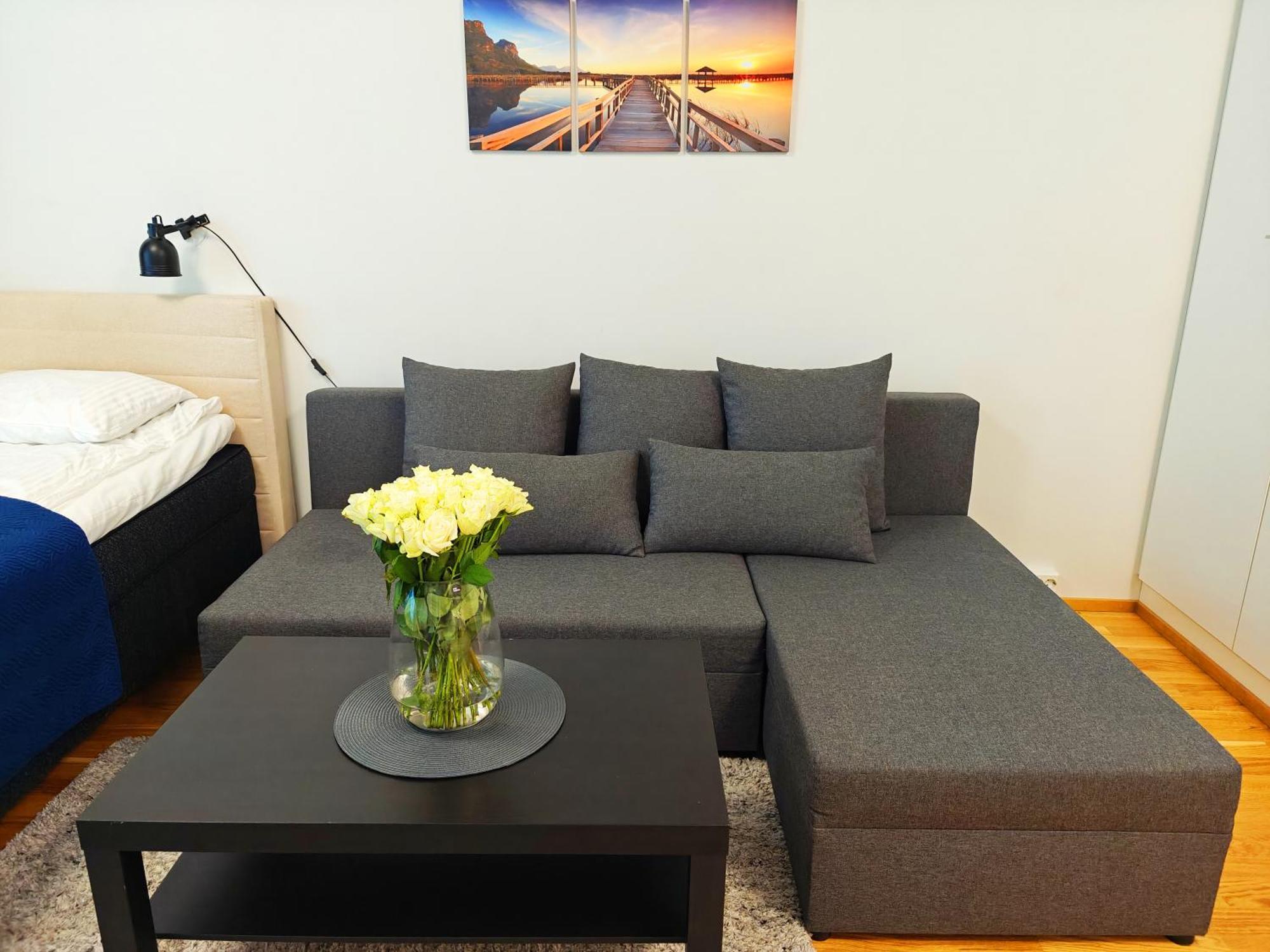 City Center 1R Studio With Perfect View, Parking 奥卢 外观 照片